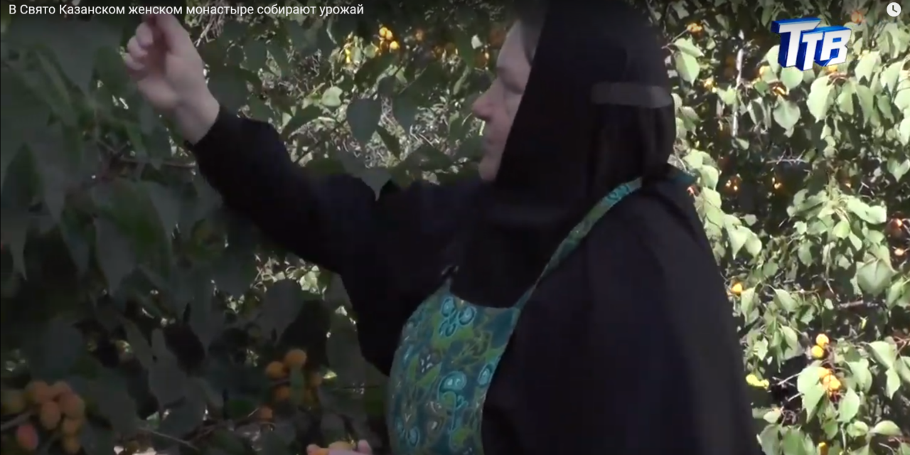 В Свято Казанском женском монастыре собирают урожай